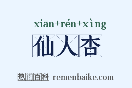 仙人杏是什么意思的图片